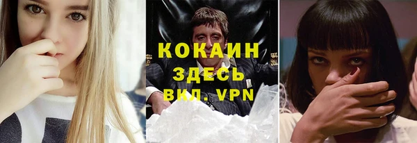 соль ск Богданович