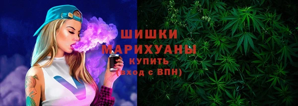соль ск Богданович
