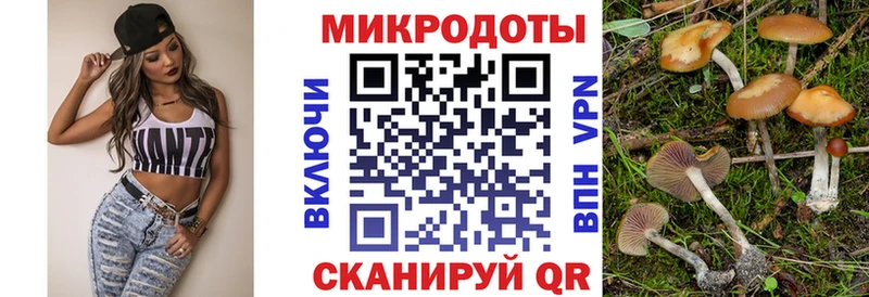 Псилоцибиновые грибы мухоморы  Купить закладки  Бородино 